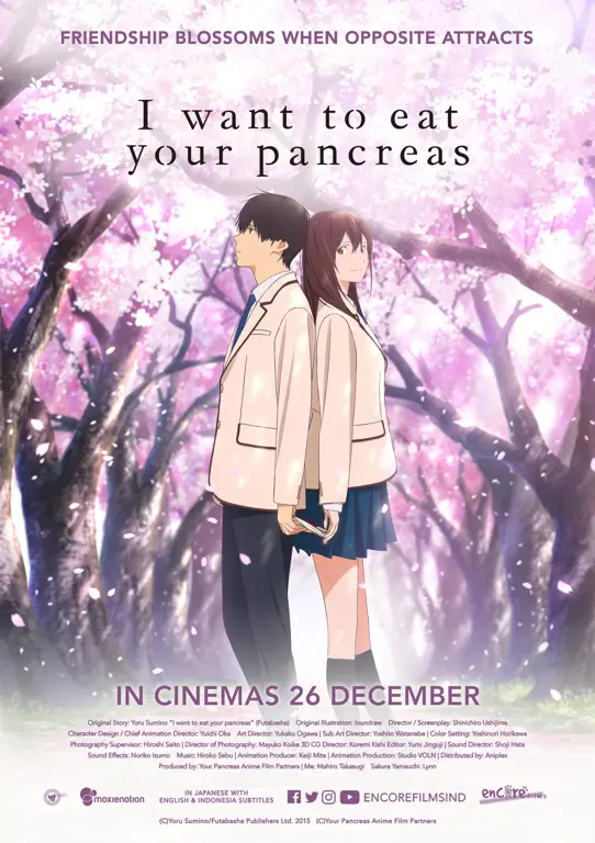 Download Film Anime I Want to Eat Your Pancreas: Kisah Haru yang Menyentuh Hati
