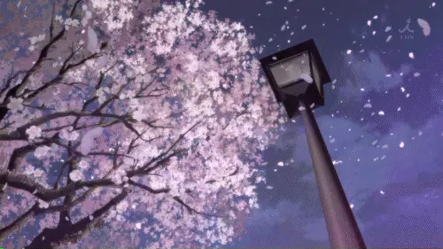 Keindahan Sakura dalam 5 Centimeter Per Second Pemandangan indah sakura di Jepang yang menjadi latar film 5 Centimeter Per Second