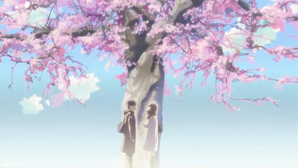 Keindahan Bunga Sakura yang Melambangkan Keindahan dan Kesedihan Adegan bunga sakura dalam anime 5 Centimeter Per Second