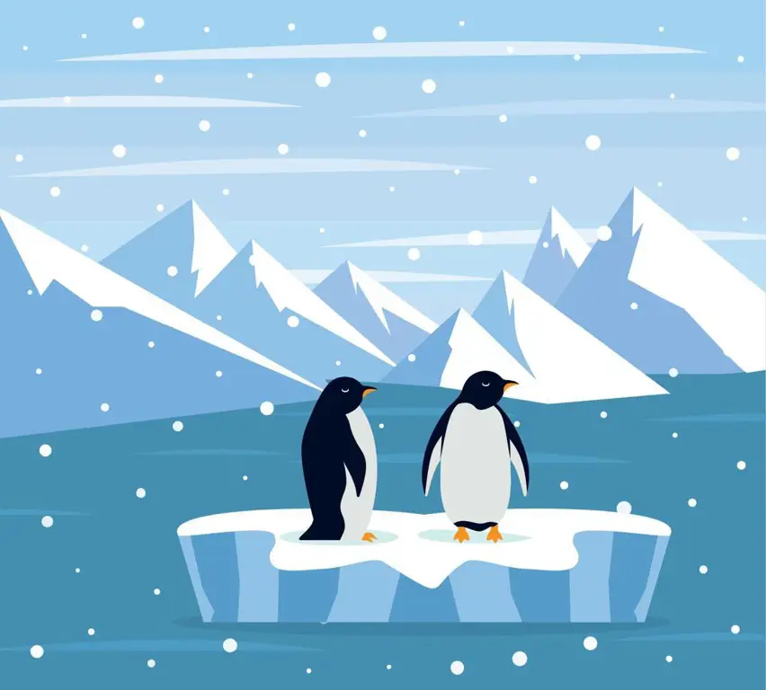 Pemandangan Antartika dalam Film Anime Pemandangan Antartika yang indah dengan penguin anime