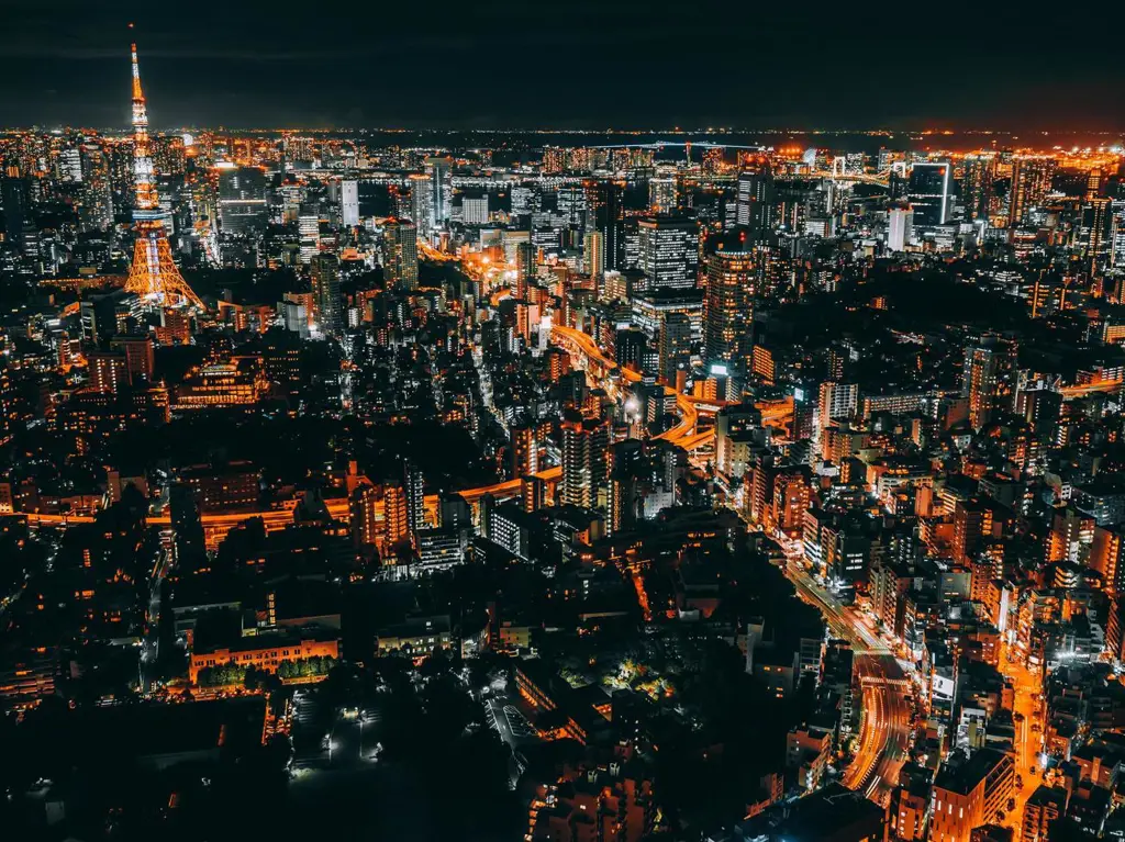 Keindahan Tokyo menjadi latar belakang kisah cinta Hodaka dan Hina Pemandangan kota Tokyo di malam hari yang indah
