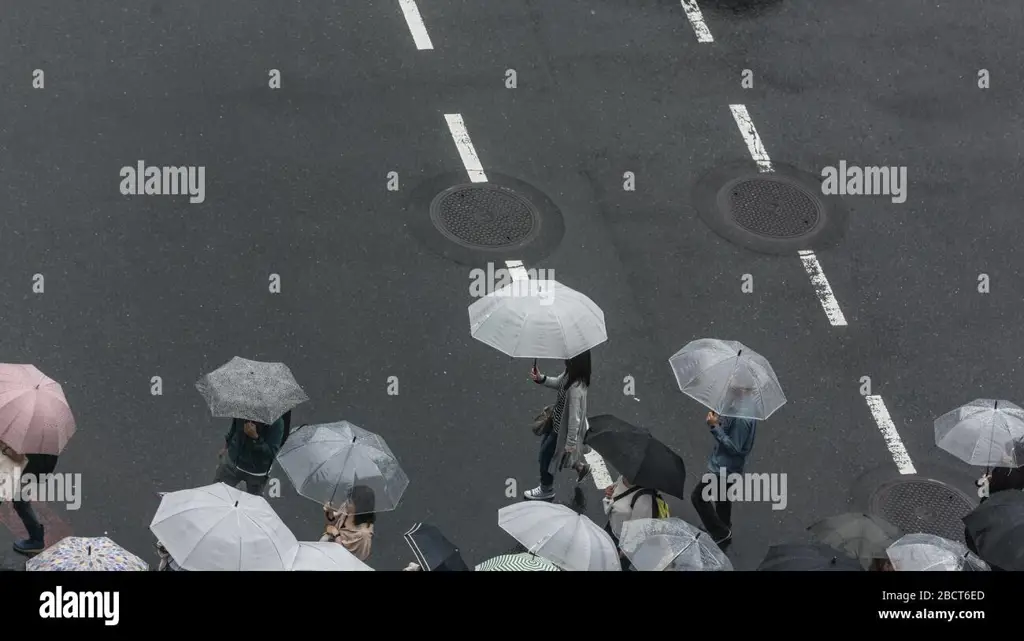 Suasana hujan di Tokyo Jalanan Tokyo yang hujan