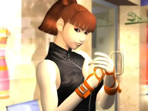 Adegan turnamen Dead or Alive dalam gaya anime Adegan turnamen Dead or Alive dalam gaya anime
