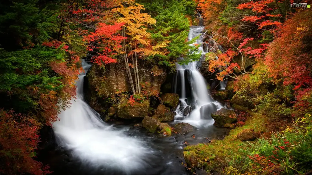 Keindahan alam yang menjadi latar kisah Hotarubi no Mori e Pemandangan hutan Jepang yang indah dan sunyi